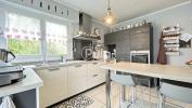 House DIVION 
