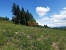 Annonce Vente Terrain Monestier