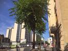 Location Appartement Clermont-ferrand 63