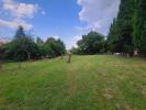 Vente Terrain Assieu 38