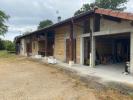 Annonce Location 5 pièces Maison Marsonnas