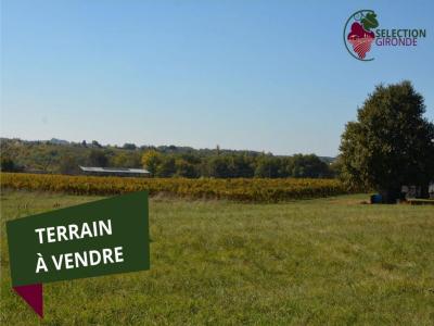 Vente Terrain PELLEGRUE 33790