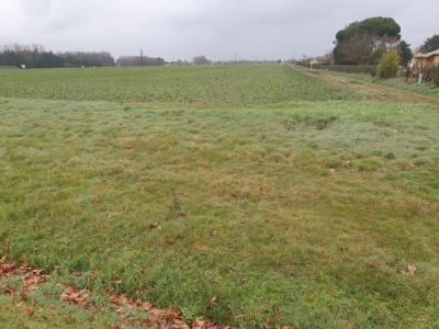 Vente Terrain CASTELNAU-DE-MEDOC 33480