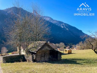 Vente Maison BALME-DE-THUY 