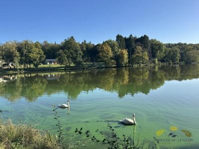 Vente Prestige GENEYTOUSE 87400