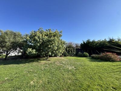 Vente Terrain ILE-D'OLONNE 85340