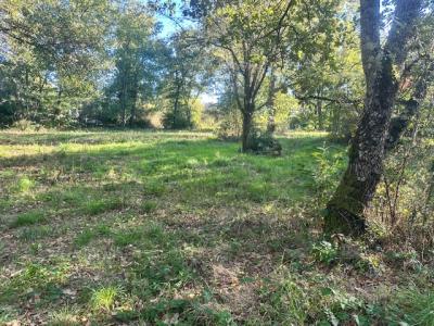 Vente Maison 4 pièces PIN-BALMA 31130