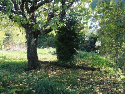 Vente Maison AUTUN 