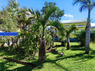 Location Maison SAINT-JOSEPH 