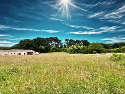 For sale Land MONTAGNAC-LA-CREMPSE  24