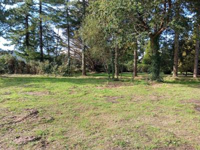 Vente Terrain MOELAN-SUR-MER 29350