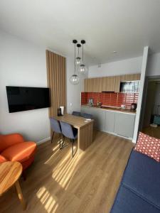 Location Appartement ANNECY  74