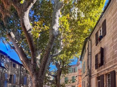 Vente Maison 4 pices ARLES 13200