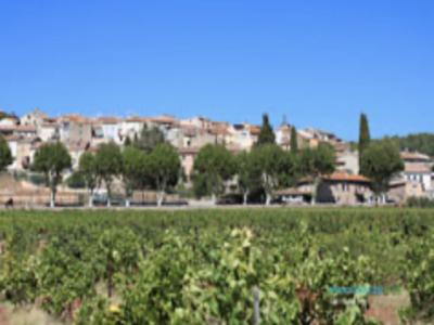 Location Maison VILLELAURE 