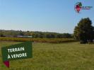 Vente Terrain Pellegrue  33790 1106 m2