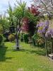House ABBEVILLE 