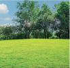 For sale Land Villefranche-de-lauragais  31290 32767 m2