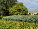 Annonce Vente 10 pièces Maison Saint-georges-d'oleron