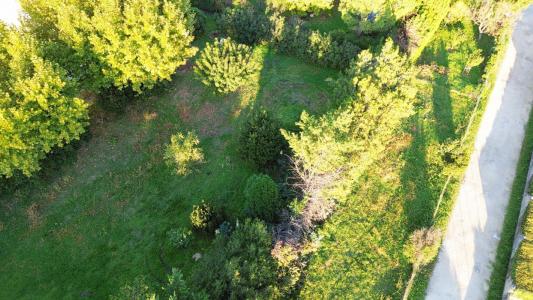 Vente Terrain MONTEUX  84