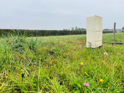 Vente Terrain NECY 61160