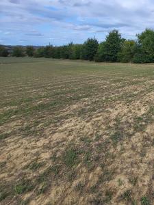 Vente Terrain CARAMAN 31460