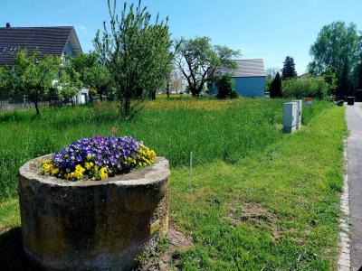For sale Land BERNOLSHEIM  67