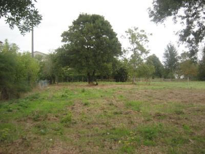 Vente Terrain BEGUEY  33