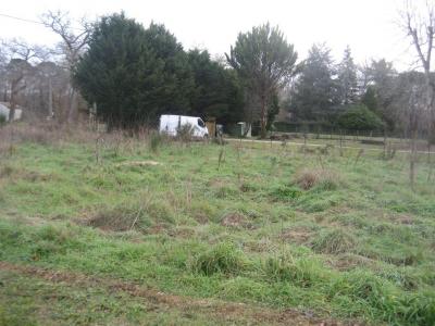 photo For sale Land VILLANDRAUT 33