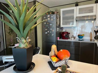 Vente Appartement 2 pièces SETE 34200