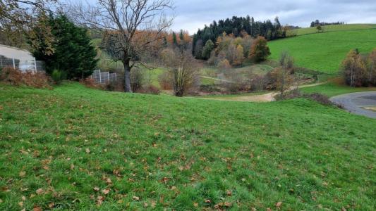 Vente Terrain SAINT-DIDIER-EN-VELAY  43