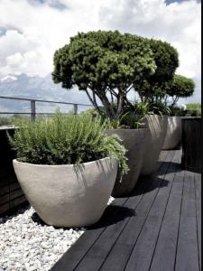 Vente Appartement 2 pièces FERNEY-VOLTAIRE 01210