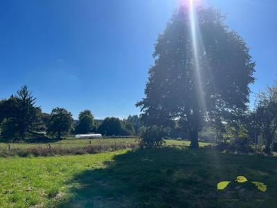 Vente Maison AFFIEUX 