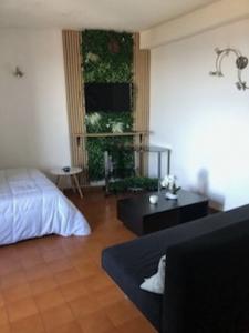 Location Appartement BIGUGLIA  20