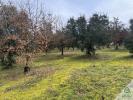 Acheter Terrain Aussac-vadalle 122000 euros