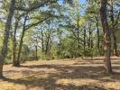 Vente Terrain Grisolles  82170 2000 m2