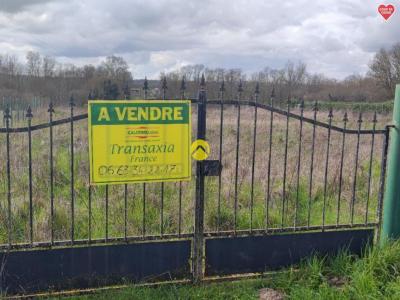 Vente Terrain GUERCHE-SUR-L'AUBOIS  18