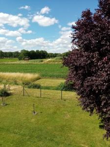 Location Maison VIEVILLE 