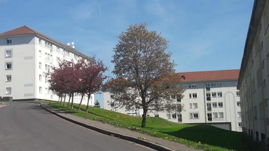 For rent Apartment MIRECOURT  88