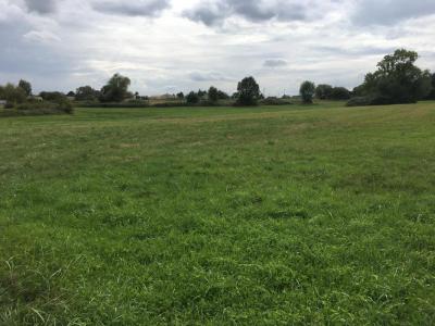 photo For sale Land GAURIAGUET 33