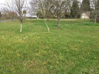 photo For sale Land CARTELEGUE 33
