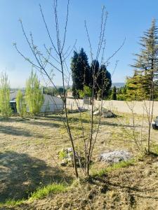 Vente Terrain SABLET 84110