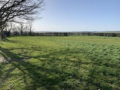 Vente Terrain PIBRAC  31