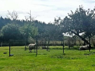 Vente Maison 8 pices LESCONIL 29740