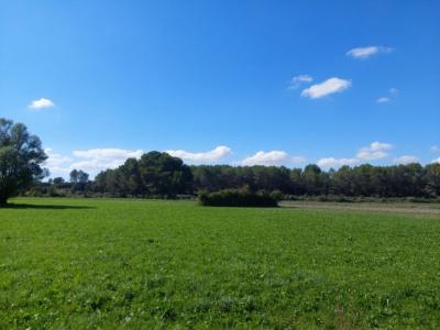 Vente Terrain ALLEINS 13980