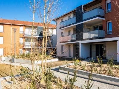 Location Appartement 2 pièces SAINT-JEAN 31240