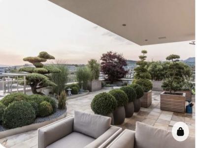 Vente Appartement 4 pièces TASSIN-LA-DEMI-LUNE 69160