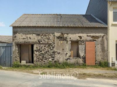 Vente Maison 2 pièces ROCHE-BLANCHE 44522