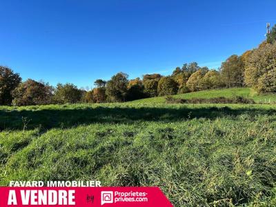 Vente Terrain SAINT-SORNIN-LAVOLPS 19230