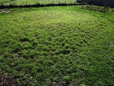 Vente Terrain CHATELUS 42140