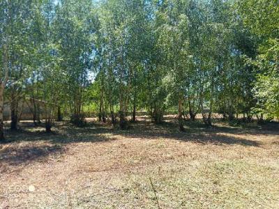 Vente Terrain LANNEMEZAN 65300